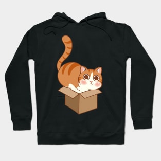 Orange cat in the box Hoodie